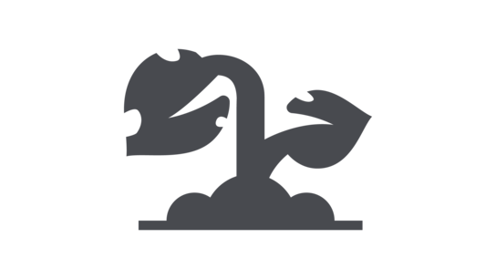 Kleine Pflanze mit einem Hauptstamm und zwei grünlichen Blättern, aus der Erde wachsend.